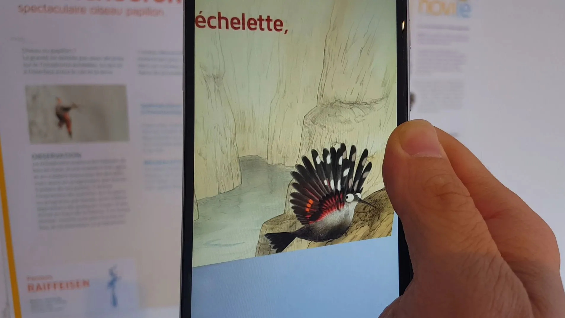 Images du sentier ludique et didactique Novilé et de son application avec contenus en réalité augmentée réalisés par entreprise fribourgeoise animation touristique DNA 01
